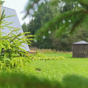 Иночь - 35