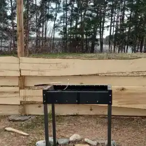 Смородина - 35