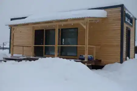 Смородина - 87