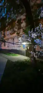 Ночь - 12