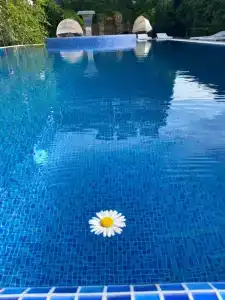 Кодак-Судак - 25