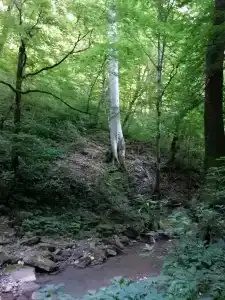 Водопадный рай - 18