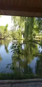 Зеленый Яр - 28