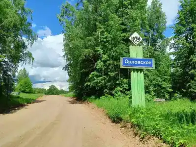 Берёзка - 22