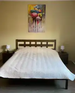 Коди Ярви - 11