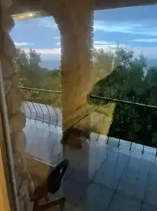 Замок грез - 30