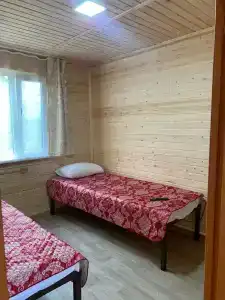 Виста - 81