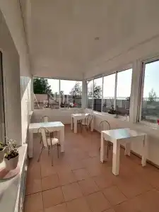 Коди Ярви - 50