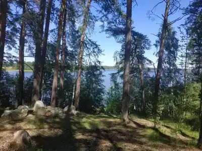 Рассвет - 38