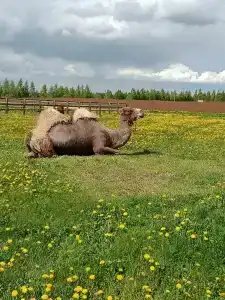 Эко клуб на Ферме - 7