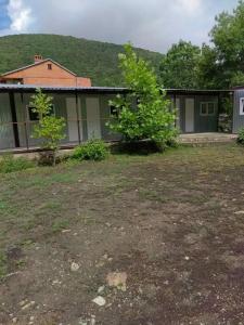 Светлана - 37