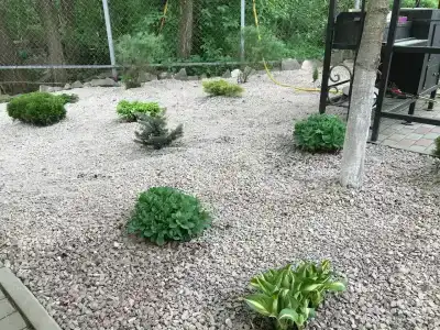 Владимирский Хуторок - 71