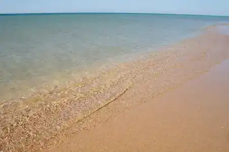 Арт - 1