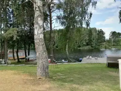 Зелёная роща - 77