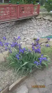 Встреча - 8