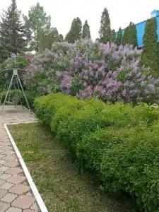Волга - 27