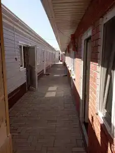 Рассвет - 13