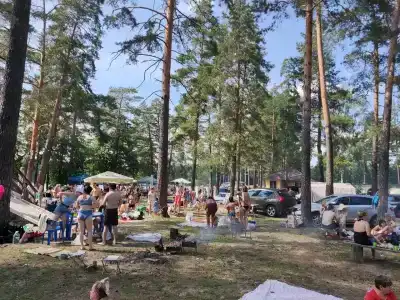 Остров - 31
