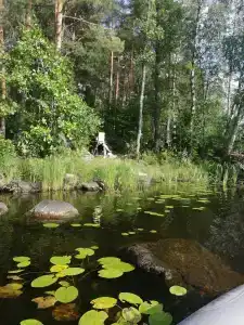 Васильево - 8