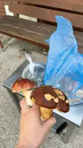 К-значит Карелия - 97