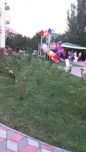 Гиацинт Сити - 30