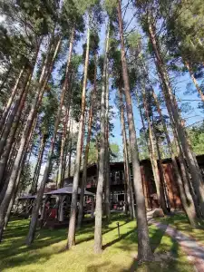 База отдыха завода имени Карла Маркса - 8