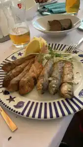 Лазурный - 62