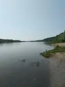 Янтарь - 42