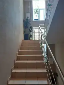 Кипарис - 10