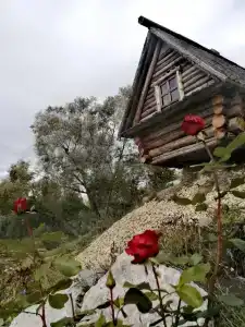Рябинка - 0