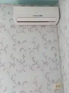 у Гаджиомара - 6