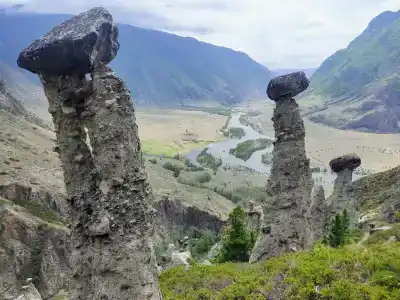 Каменные грибы - 1