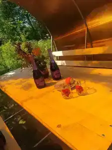 Свирицкая гавань - 12