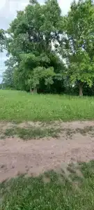 Солнышко - 24