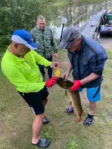 Куха Губа - 38