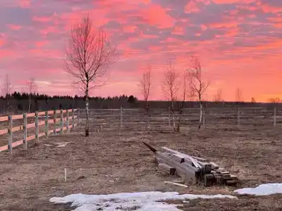 ПолеДом - 59