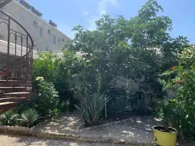 Амир-Дани - 23