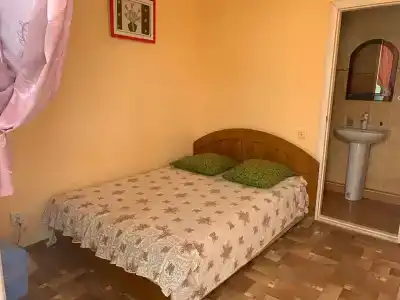 Амир-Дани - 47