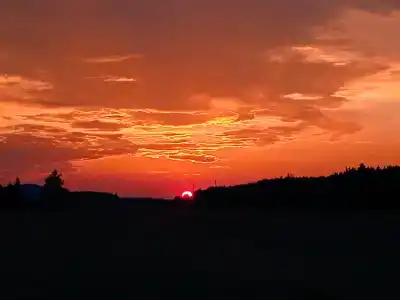 Черемушка - 12