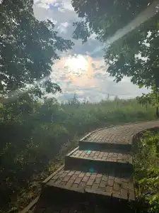 Живые Родники - 25