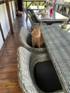 Усадьба Запруднево - 17