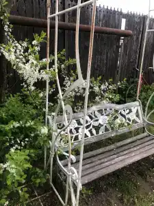 Старая Провинция - 11