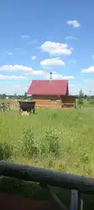 Большая Медведица - 29