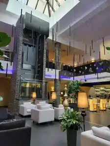 Голден Тюлип - 87