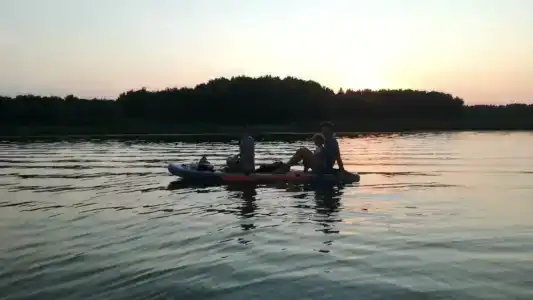 Смородина - 69