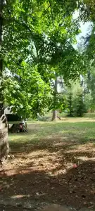 Кемпинг Парус - 19