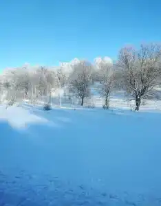Солнечный Пригорок - 18