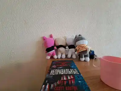 Детский санаторий имени Н.И. Пирогова - 72