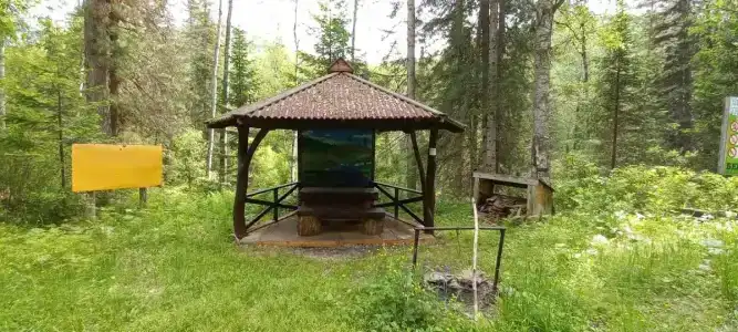 Таловский лог - 30