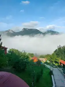 Лесной кордон - 63